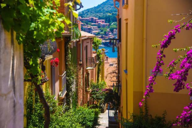 Studio Centre Plage Parking Gratuit Collioure Exterior foto